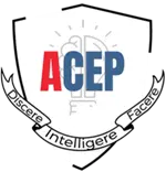 ACEP GROUPE